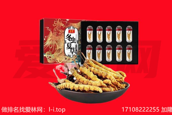 东城区回收虫草.jpg